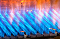 Swincombe gas fired boilers